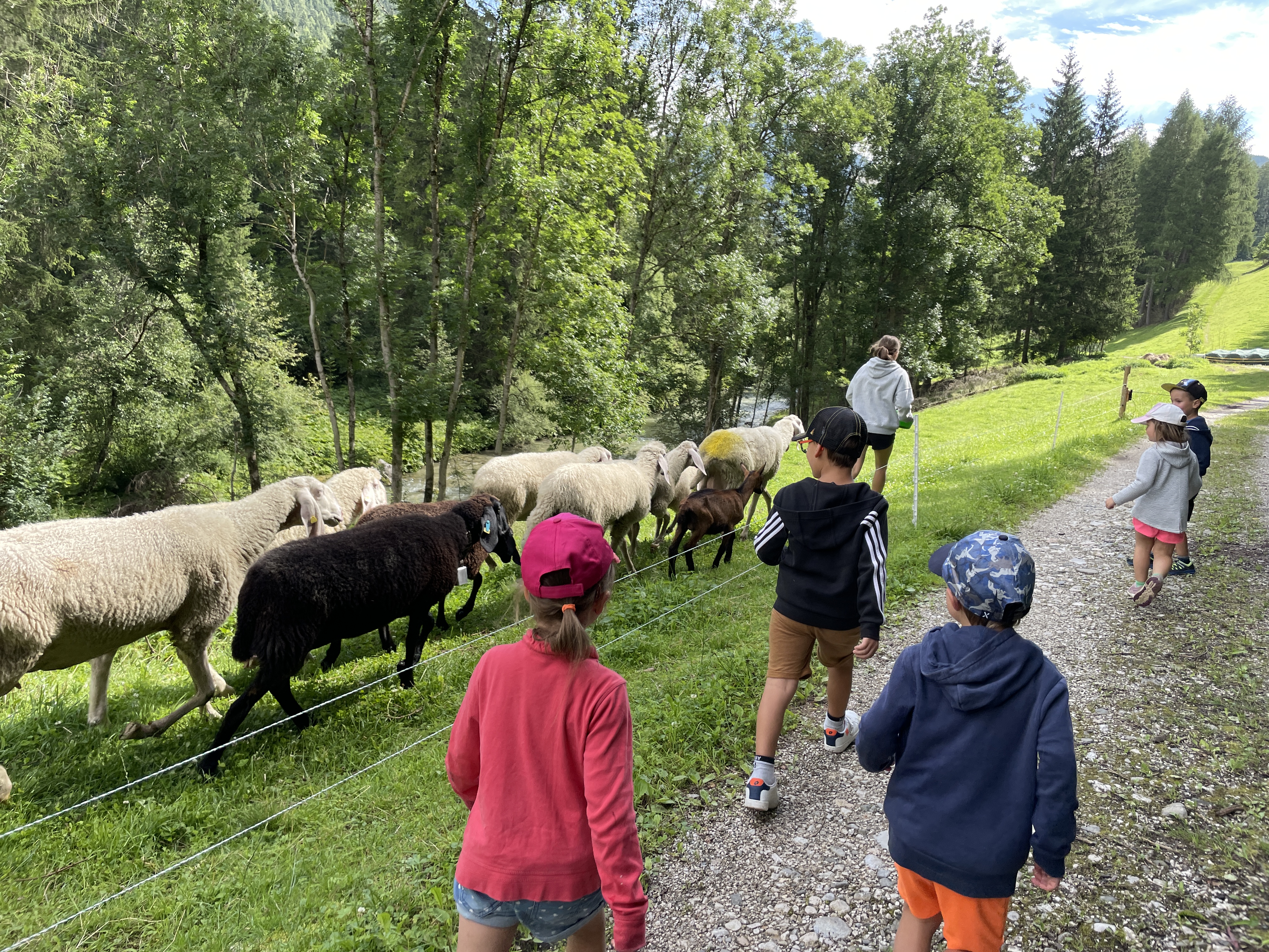 pettersson.und.findus