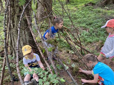 wald.woche pfalzen 3-5 jahre